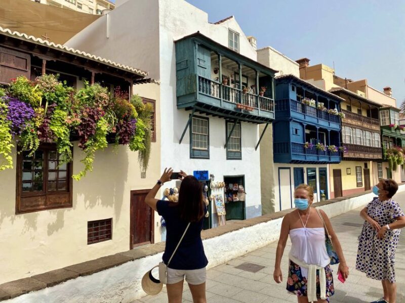 From Tenerife: Day Trip to La Palma Volcanic Landscapes - Who Will Love This Tour?