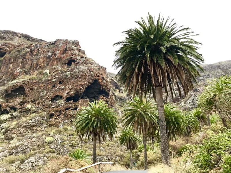 From Tenerife South: La Gomera Full-Day Trip with Transfers - Why This Tour Stands Out