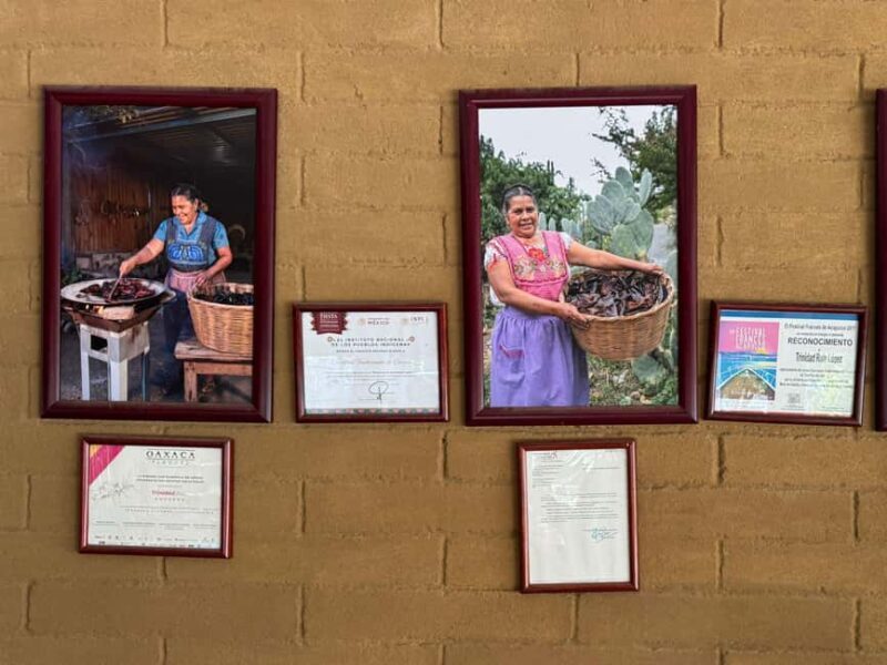 From Teotitlán del Valle - Traditional Cooking Class - Exploring the Teotitlán del Valle Cooking Experience