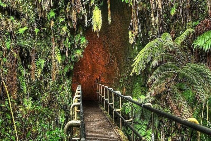 From the Big Island: Hawaii Volcanoes National Park Tour - A Deep Dive Into the Hawaii Volcanoes National Park Tour