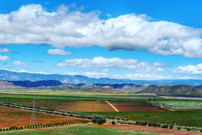 From the Border Valle de Guadalupe Private Wine Tour - FAQs