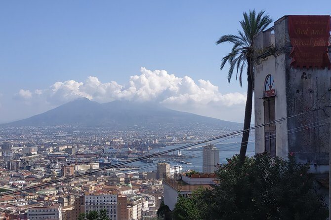 From the Charterhouse to the historic Naples market - Exploring Naples with a Focus on Culture and Views