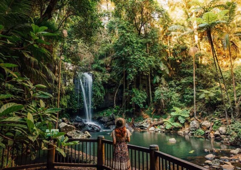 From the Gold Coast Hop on Hop off Bus to Tamborine Mountain - Frequently Asked Questions
