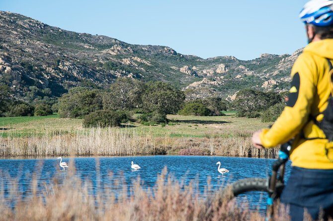 From the hills to Oasi Biderosa & Capo Comino with Electric Mountain Bikes - Final Thoughts: Who Will Love This Tour?