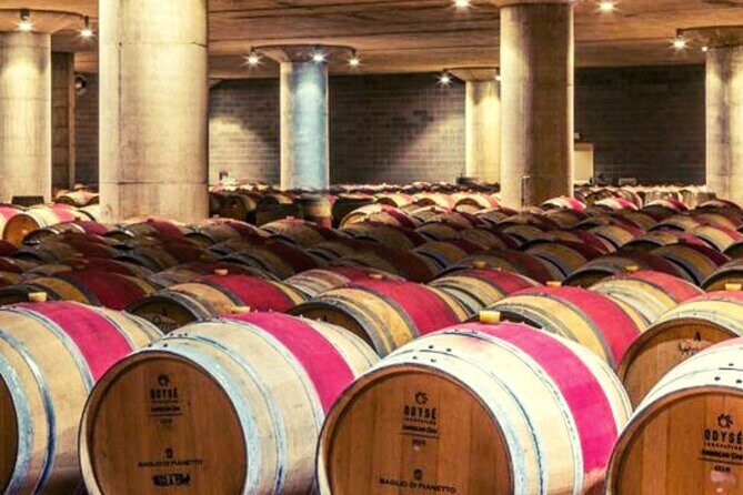 From the Vineyards to the Chalice: A Unique Tasting Experience - The Itinerary and Its Highlights
