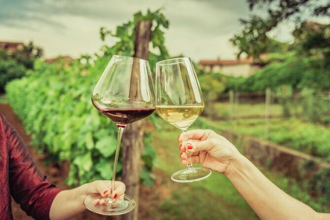 From the Vineyards to the Chalice: A Unique Tasting Experience - Why This Tour Excels