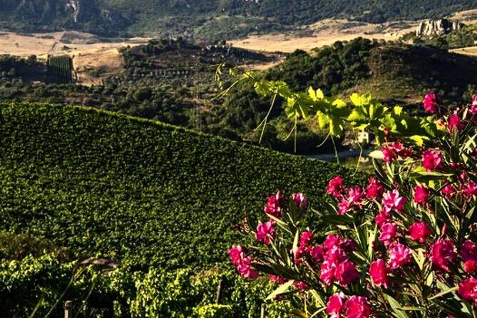 From the Vineyards to the Chalice: A Unique Tasting Experience - Practical Details and Considerations