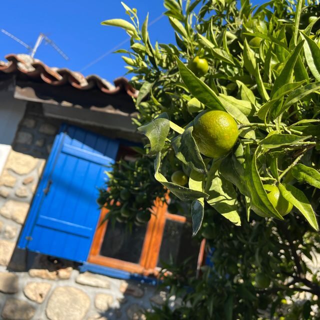 From Thessaloniki: Chalkidiki Hidden Gems Private Day Trip - Exploring Arnaia: A Traditional Greek Village