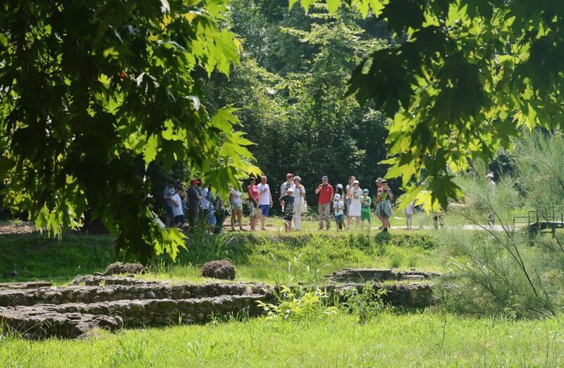 From Thessaloniki: Day Trip to Dion and Mount Olympus Park - A Deep Dive into the Experience