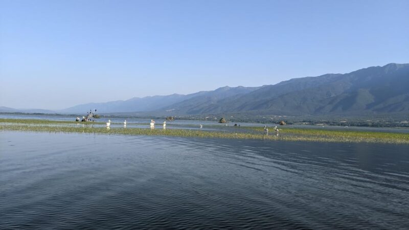 From Thessaloniki: Lake Kerkini, Boat Ride & Winery Day Tour - From Thessaloniki: Lake Kerkini, Boat Ride & Winery Day Tour