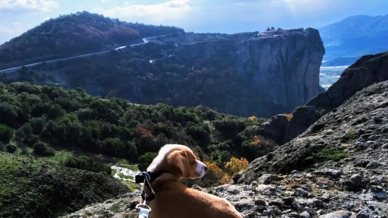 From Thessaloniki: Meteora Small Group Day Trip - Detailed Review: The Heart of the Experience