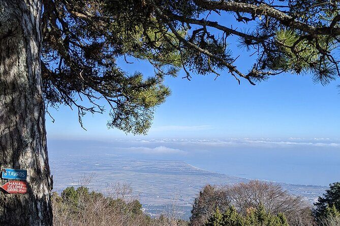 From Thessaloniki: Olympus and Dion History and Nature Day Trip - Who Should Consider This Tour