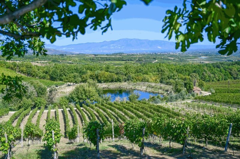 From Thessaloniki: Pella-Edessa-Naousa wine tasting - A Full Breakdown of What to Expect