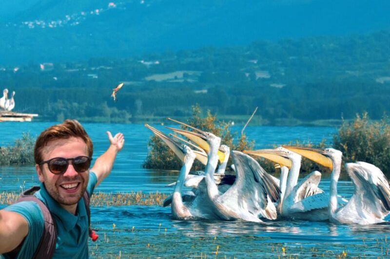 From Thessaloniki: Private Day Trip to Kerkini Lake - From Thessaloniki: Private Day Trip to Kerkini Lake