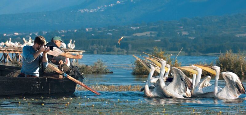 From Thessaloniki: Private Day Trip to Kerkini Lake - Key Points