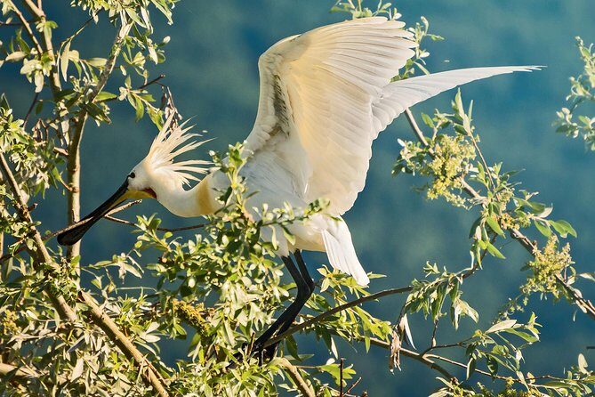 From Thessaloniki: Private Day Trip to Kerkini Lake - FAQ