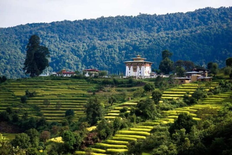 From Thimphu - Enchanting Bhutan tour with Guide 5 days Tour - FAQ