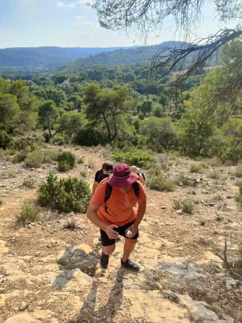 From Tholonet to the Bibémus quarries: Cézanne Hike - From Tholonet to the Bibémus Quarries: Cézanne Hike