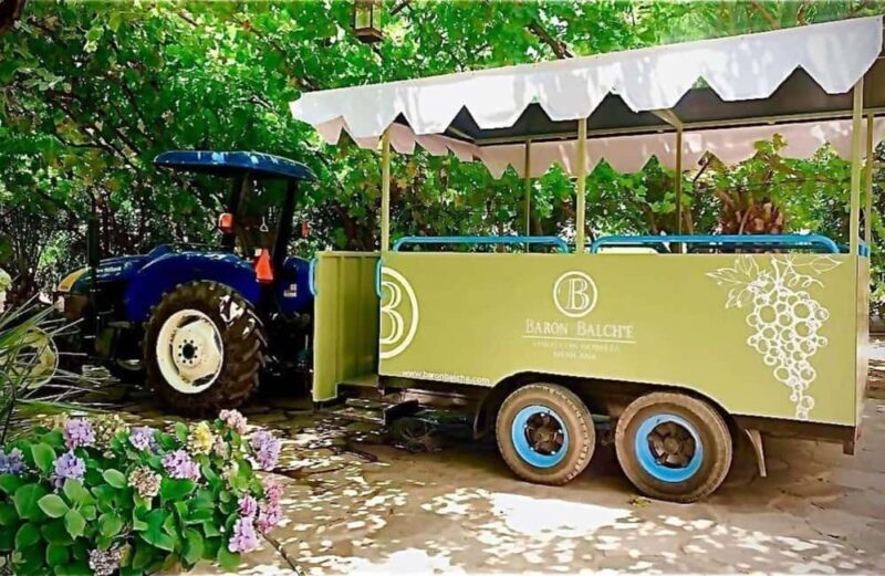 From Tijuana: Valle de Guadalupe Shared Winery Tour - From Tijuana: Valle de Guadalupe Shared Winery Tour