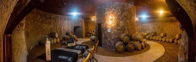 From Tijuana: Valle de Guadalupe Shared Winery Tour - Authentic Experiences and Value