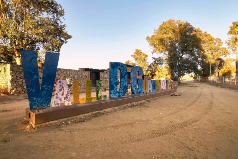 From Tijuana: Valle de Guadalupe Shared Winery Tour - Who Should Consider This Tour?