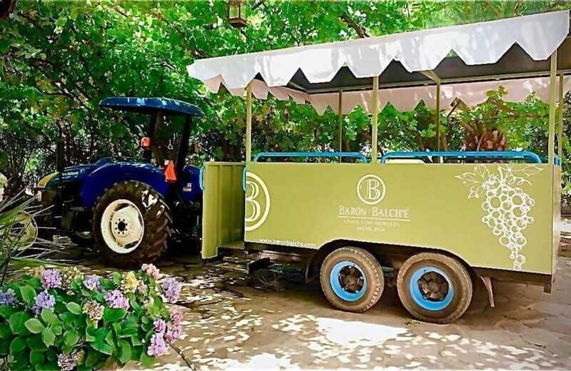 From Tijuana: Valle de Guadalupe Shared Winery Tour - Final Thoughts