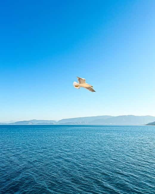 From Tirana: 2-Day Albanian Riviera & Dhermi Guided Tour - Key Points
