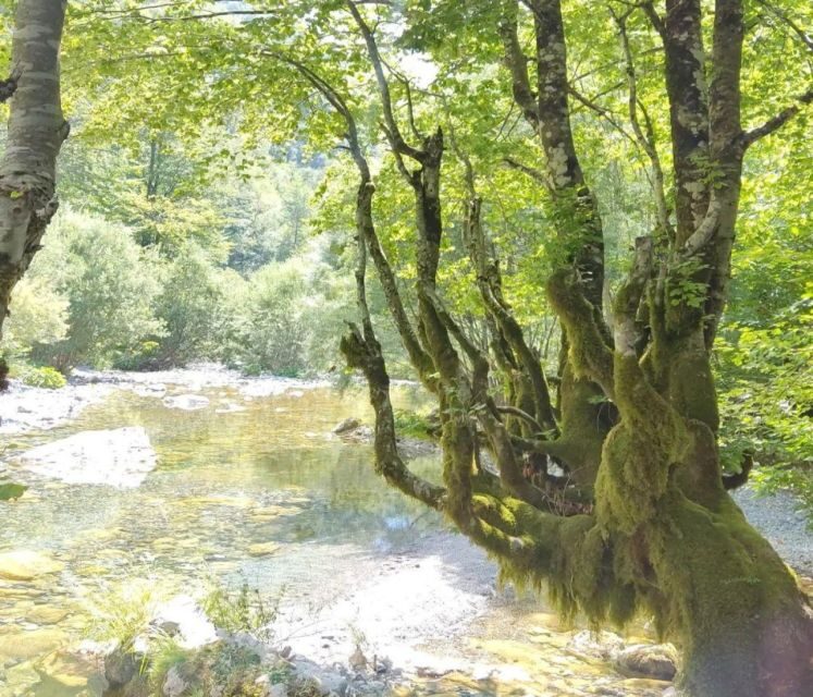 From Tirana: 2-Day Private Tour of Theth and Shkoder - Discovering Theth: Albania’s Hidden Gem