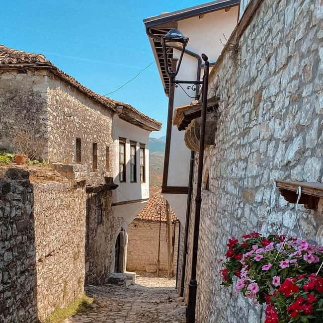 From Tirana: Berat, Belshi Lake, and Wine Tasting Day Tour - Analyzing the Value