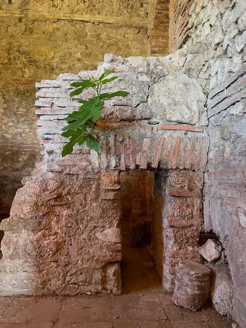 From Tirana: Berat City, Belshi Lake and Roman Baths Tour - A Detailed Look at the Itinerary