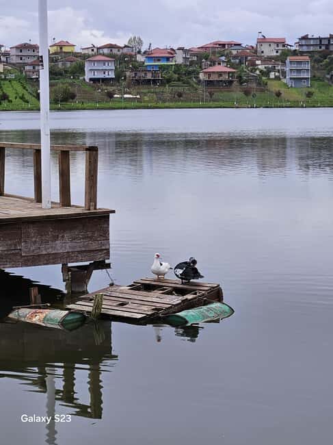 From Tirana: Berat Day Trip with Belshi Lake - The Sum Up: Is It Worth It?