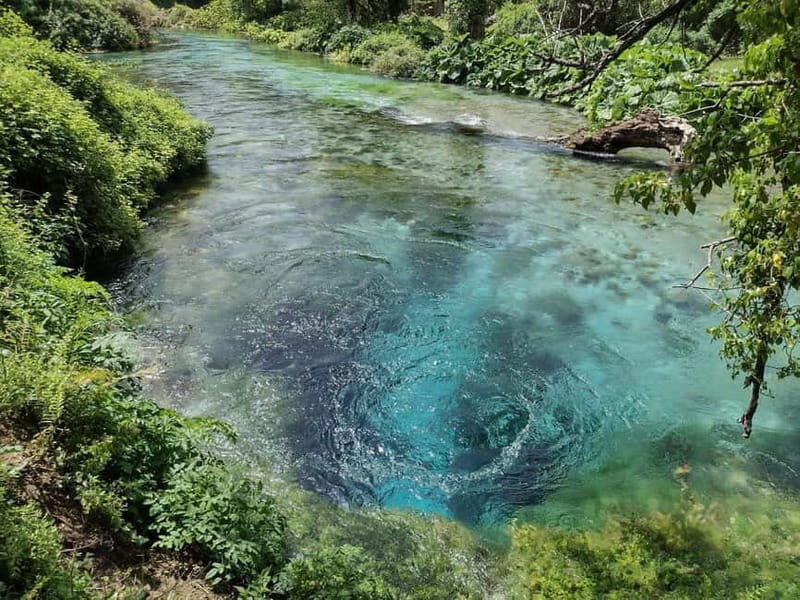 From Tirana/Durrës: Gjirokastra and Blue Eye Day Tour - Who Should Take This Tour?