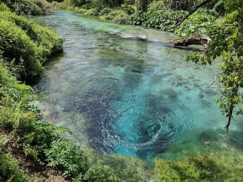 From Tirana/Durrës/Golem: Saranda, Ksamil, Blue Eye Day Tour - Final Thoughts