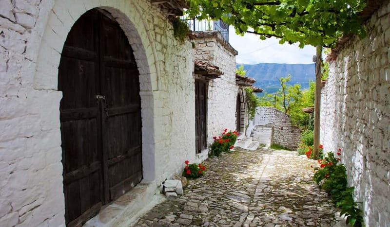 From Tirana & Durres: Group Tour of Apollonia Berat & Durres - Exploring the Highlights: Apollonia and Berat in Depth