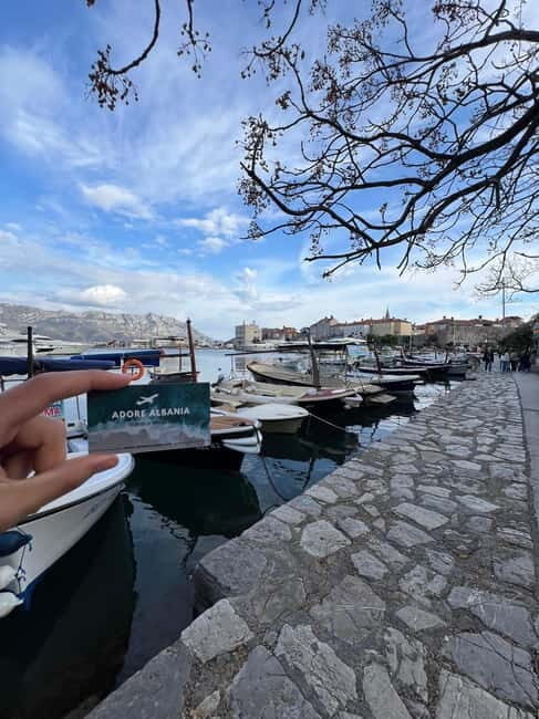 From Tirana to Montenegro: Kotor and Budva, Day tour - Who Would Love This Experience?