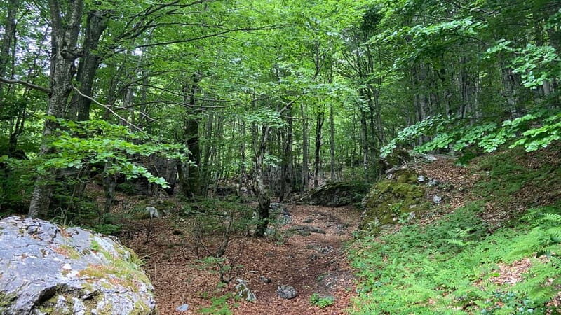 From Tirana: Valbona Park with Ferry Ride and Prizren City - The Sum Up