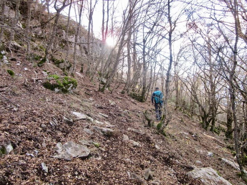 From Tirana: Vjosa River Rafting and Hiking 2-Day Trip - Practical Details and Logistics