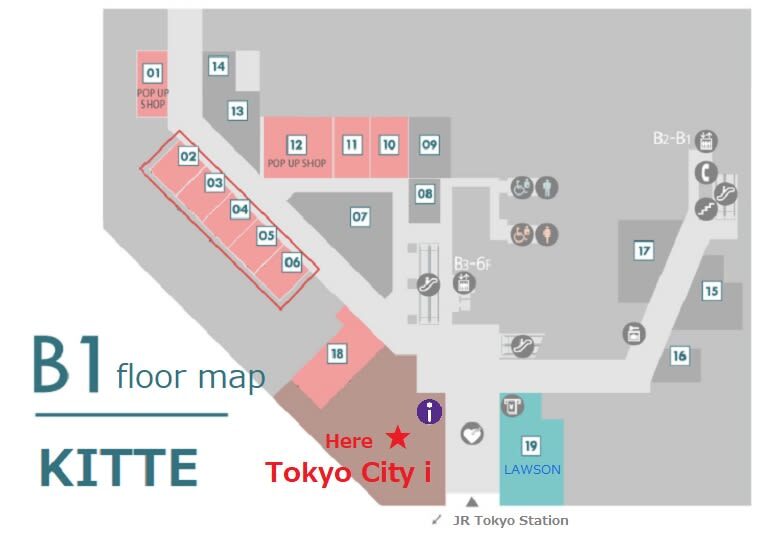 From Tokyo 1-Day Kyoto English-guided Tour by Bullet Train - Should you book it?