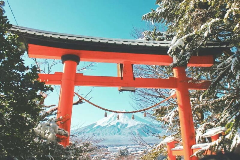 From Tokyo: 1 Full Day Mount fuji Sightseeing Trip - Key Points