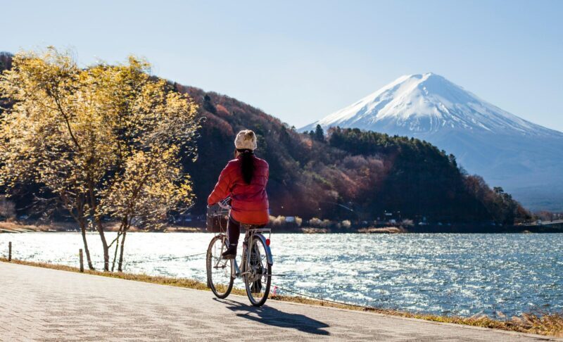 From Tokyo: 1 Full Day Mount fuji Sightseeing Trip - The Value Proposition