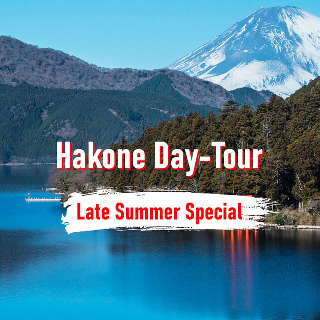 From Tokyo: 10-hour Hakone Private Custom Tour - A Closer Look at the Hakone Private Custom Tour