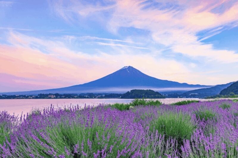 From Tokyo Custom Mt.Fuji tour with the Private van - Authentic Insights from Past Travelers