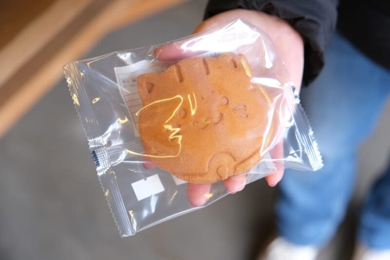 FROM TOKYO - EXPLORE LITTLE EDO & CRAFTS WALKING TOUR - Who Should Consider This Tour?