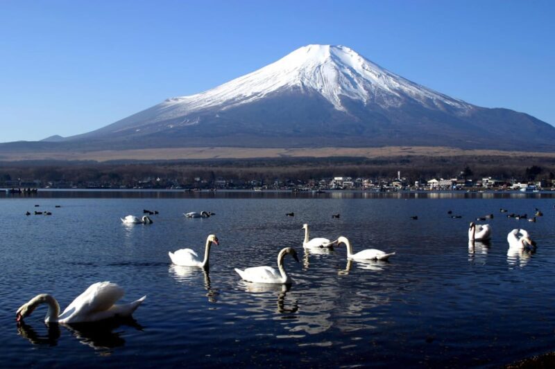 From Tokyo: Fuji Mountain Area - FujiQ - Lake Kawaguchiko - Chureito Pagoda - Key Points