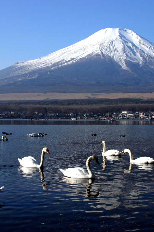 From Tokyo: Fuji Mountain Area - FujiQ - Lake Kawaguchiko - Chureito Pagoda - The Sum Up