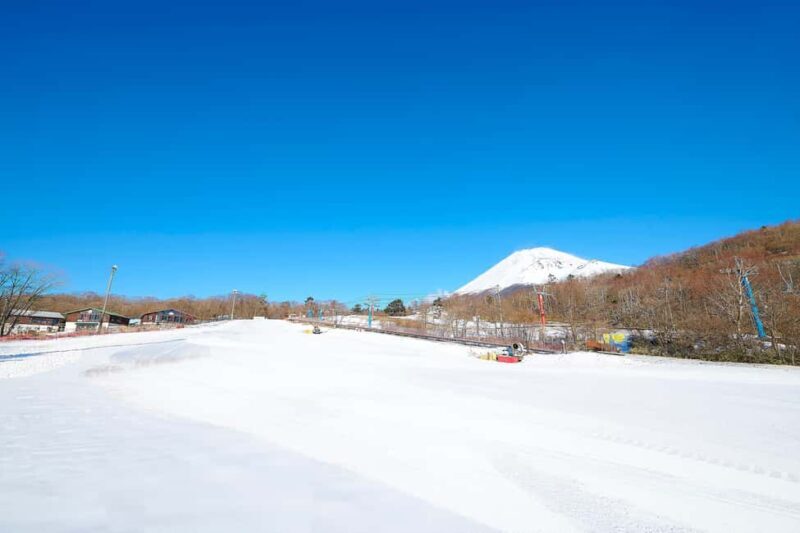 From Tokyo : Fujiyama Snow Resort Yeti Day Tour - Who Should Consider This Tour?