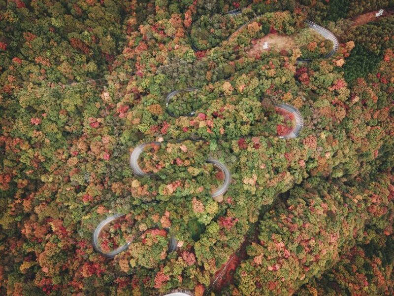 From Tokyo: Guided Day Trip to Nikko World Heritage Sites - Practical Details and Tips