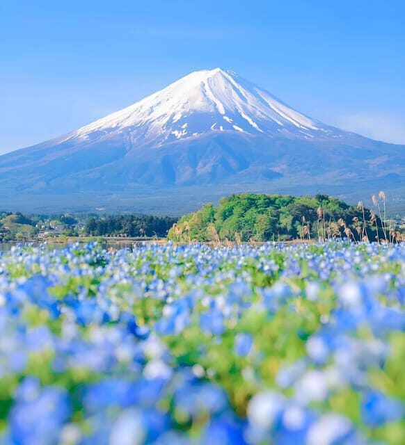 From Tokyo: Hakone and Mount Fuji tour with Transportation - What’s Included and What’s Not