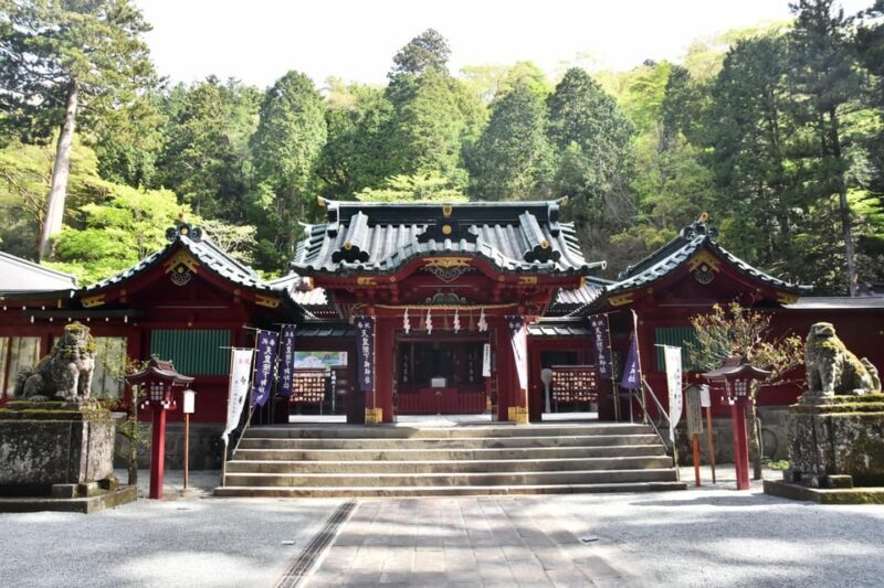 From Tokyo: Hakone Day Trip with Lake Ashinoko Boat Cruise - Who Is This Tour Best For?