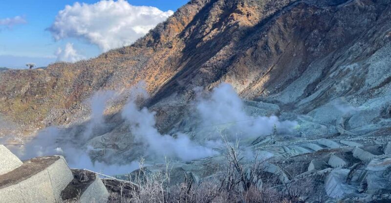 From Tokyo: Hakone Full Day Customizable Private Tour - Key Points